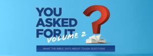 You Asked For It Volume 2